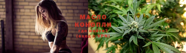 Альфа ПВП Няндома