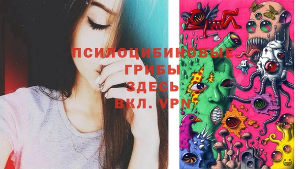 марки nbome Беломорск