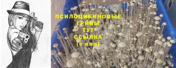 стафф Балабаново