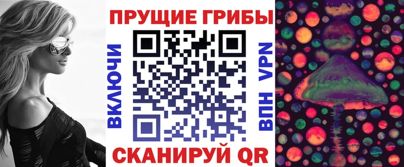 купить наркоту  Тихорецк  Псилоцибиновые грибы MAGIC MUSHROOMS 
